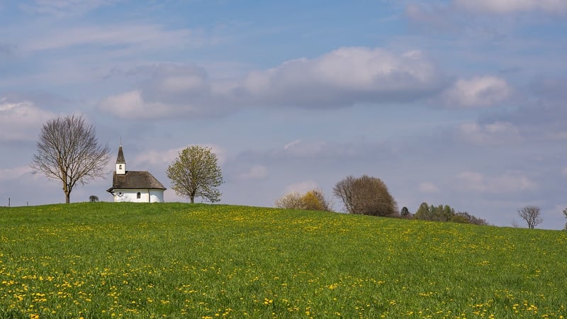 Mythical meadows